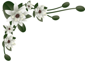 floral_arriba_izq.png